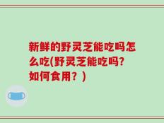 新鲜的野灵芝能吃吗怎么吃(野灵芝能吃吗？如何食用？)
