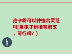 孢子粉可以种植出灵芝吗(用孢子粉培育灵芝，可行吗？)