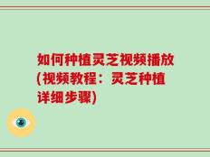 如何种植灵芝视频播放(视频教程：灵芝种植详细步骤)