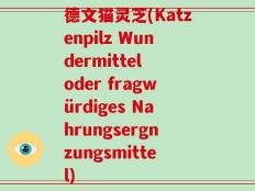 德文猫灵芝(Katzenpilz Wundermittel oder fragwürdiges Nahrungsergnzungsmittel)