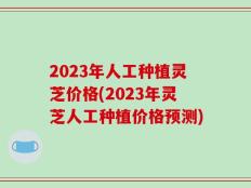 2023年人工种植灵芝价格(2023年灵芝人工种植价格预测)