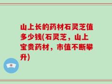 山上长的药材石灵芝值多少钱(石灵芝，山上宝贵药材，市值不断攀升)