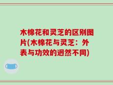 木棉花和灵芝的区别图片(木棉花与灵芝：外表与功效的迥然不同)