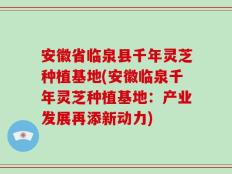 安徽省临泉县千年灵芝种植基地(安徽临泉千年灵芝种植基地：产业发展再添新动力)