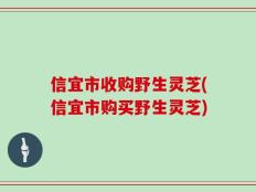 信宜市收购野生灵芝(信宜市购买野生灵芝)