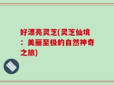好漂亮灵芝(灵芝仙境：美丽至极的自然神奇之旅)