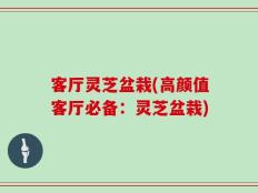 客厅灵芝盆栽(高颜值客厅必备：灵芝盆栽)