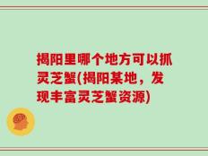 揭阳里哪个地方可以抓灵芝蟹(揭阳某地，发现丰富灵芝蟹资源)