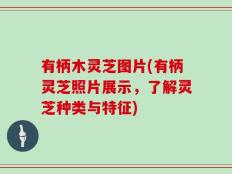 有柄木灵芝图片(有柄灵芝照片展示，了解灵芝种类与特征)