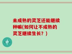 未成熟的灵芝还能继续种嘛(如何让不成熟的灵芝继续生长？)