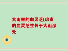 大山里的血灵芝(珍贵的血灵芝生长于大山深处