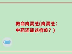 救命肉灵芝(肉灵芝：中药还能这样吃？)