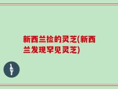 新西兰捡的灵芝(新西兰发现罕见灵芝)