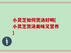 小灵芝如何煲汤好喝(小灵芝煲汤美味又营养)