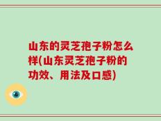 山东的灵芝孢子粉怎么样(山东灵芝孢子粉的功效、用法及口感)