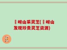 嵖岈山采灵芝(嵖岈山发现珍贵灵芝资源)