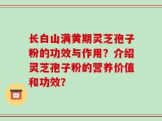 长白山满黄期灵芝孢子粉的功效与作用？介绍灵芝孢子粉的营养价值和功效？