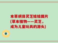 本草纲目灵芝娃娃图片(草本植物——灵芝，成为儿童玩具的源头)