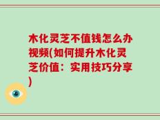 木化灵芝不值钱怎么办视频(如何提升木化灵芝价值：实用技巧分享)