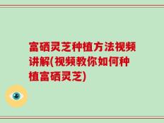 富硒灵芝种植方法视频讲解(视频教你如何种植富硒灵芝)