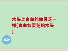 木头上白白的像灵芝一样(白白如灵芝的木头)
