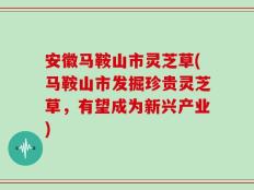 安徽马鞍山市灵芝草(马鞍山市发掘珍贵灵芝草，有望成为新兴产业)