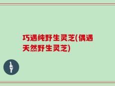 巧遇纯野生灵芝(偶遇天然野生灵芝)