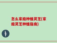 怎么家庭种植灵芝(家庭灵芝种植指南)