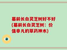 墓前长白灵芝树好不好(墓前长白灵芝树：价值非凡的草药神木)