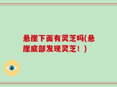 悬崖下面有灵芝吗(悬崖底部发现灵芝！)