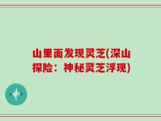 山里面发现灵芝(深山探险：神秘灵芝浮现)