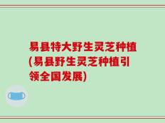 易县特大野生灵芝种植(易县野生灵芝种植引领全国发展)