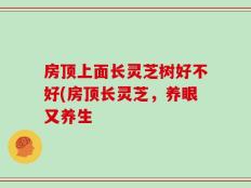房顶上面长灵芝树好不好(房顶长灵芝，养眼又养生