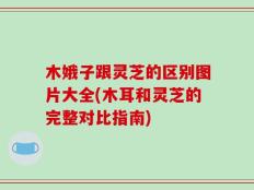 木娥子跟灵芝的区别图片大全(木耳和灵芝的完整对比指南)