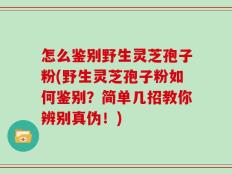 怎么鉴别野生灵芝孢子粉(野生灵芝孢子粉如何鉴别？简单几招教你辨别真伪！)