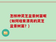 怎样种灵芝盆景树苗呢(如何培育漂亮的灵芝盆景树苗？)