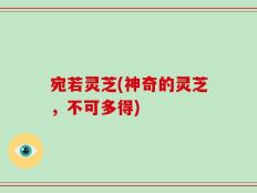 宛若灵芝(神奇的灵芝，不可多得)