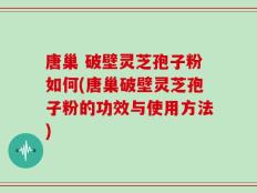 唐巢 破壁灵芝孢子粉如何(唐巢破壁灵芝孢子粉的功效与使用方法)