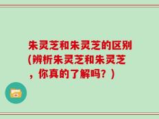 朱灵芝和朱灵芝的区别(辨析朱灵芝和朱灵芝，你真的了解吗？)