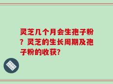 灵芝几个月会生孢子粉？灵芝的生长周期及孢子粉的收获？