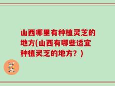 山西哪里有种植灵芝的地方(山西有哪些适宜种植灵芝的地方？)