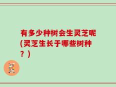 有多少种树会生灵芝呢(灵芝生长于哪些树种？)