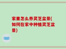 家里怎么养灵芝盆景(如何在家中种植灵芝盆景)
