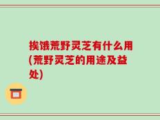 挨饿荒野灵芝有什么用(荒野灵芝的用途及益处)