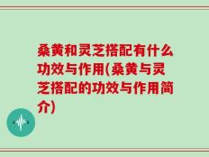 桑黄和灵芝搭配有什么功效与作用(桑黄与灵芝搭配的功效与作用简介)
