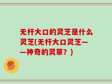 无杆大口的灵芝是什么灵芝(无杆大口灵芝——神奇的灵草？)