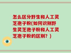 怎么区分野生和人工灵芝孢子粉(如何识别野生灵芝孢子粉和人工灵芝孢子粉的区别？)