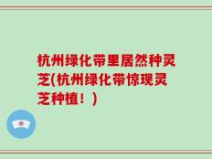 杭州绿化带里居然种灵芝(杭州绿化带惊现灵芝种植！)