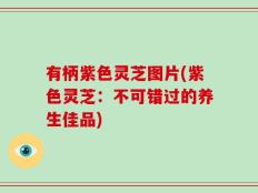 有柄紫色灵芝图片(紫色灵芝：不可错过的养生佳品)