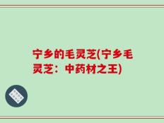 宁乡的毛灵芝(宁乡毛灵芝：中药材之王)